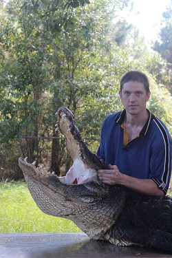 alligator hunt pics
